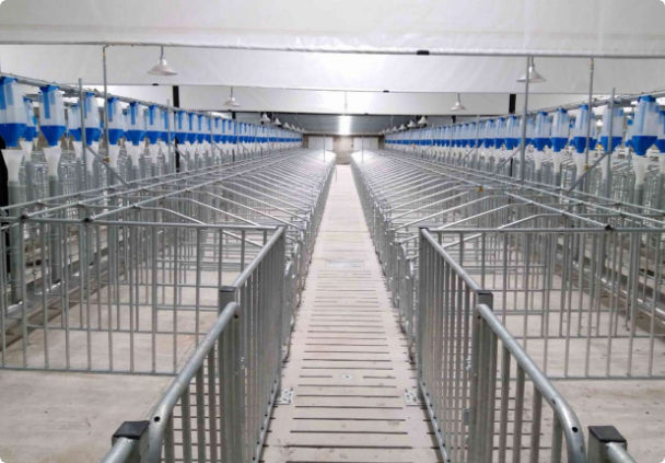 Basic equipment for pig farms
