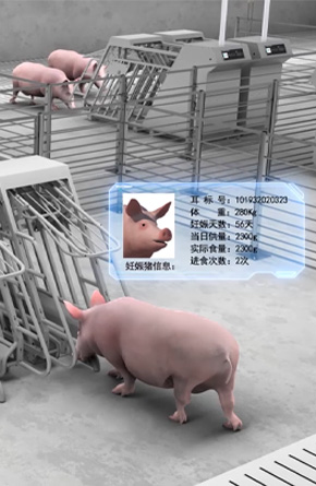 Smart Pig Farm Equipment