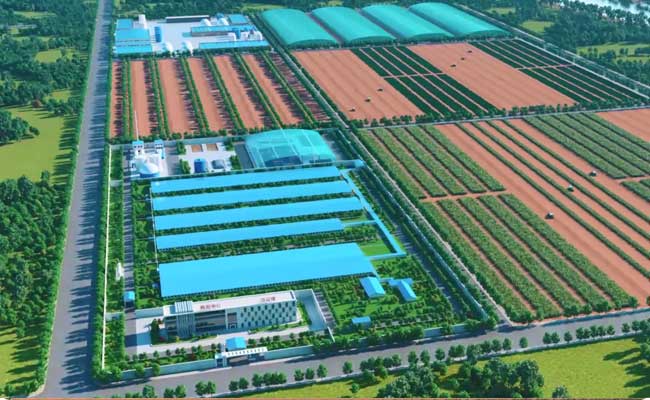 smart pig farm