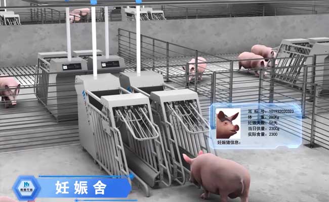 Intelligent pig farming equipment