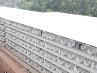 Building pig farm