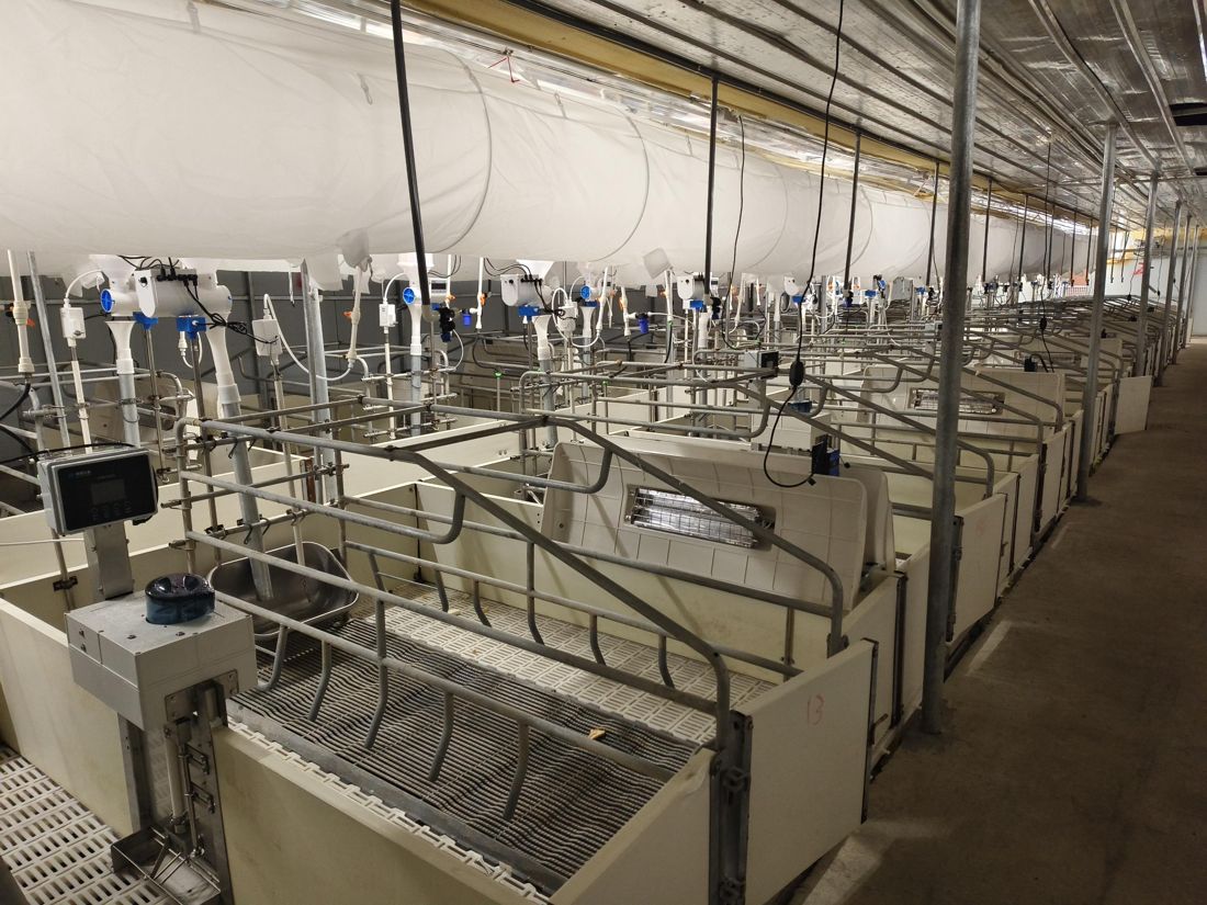 Galpão de maternidade com salas de parto equipadas
